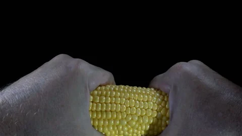 Hands break an ear of corn in slow motion Stock Footage 139733018