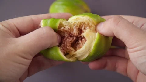 Hands breaking fresh ripe figs Stock Footage 199441557