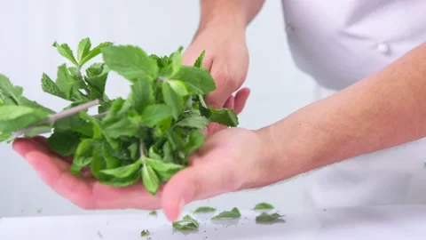 Hands breaking frozen mint in slow motion. Stock Footage 141561489