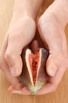 Hands breaking open a fig Stock Photos