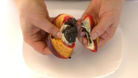 Hands breaking open two-color croissant with chocolate filling Stock Footage 89389475