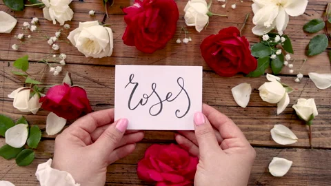 Hands bring closer to a camera ROSES card Stock Footage 168939752