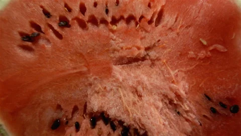 Hands bring half a watermelon close to the camera in 4K. Stock Footage 139440794