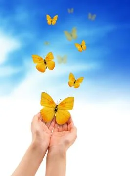 Hands with butterflies Stock Illustration