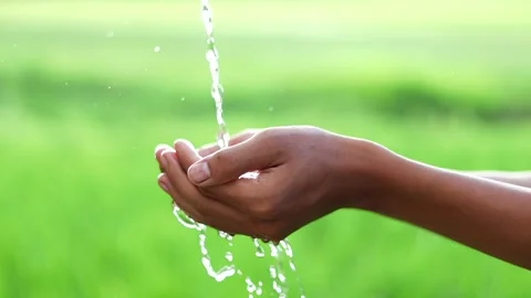 Hands catching fresh flowing water in natural outdoor setting Видео 339760438