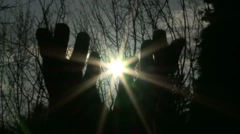 Hands catching the sun Stock Footage 36560225