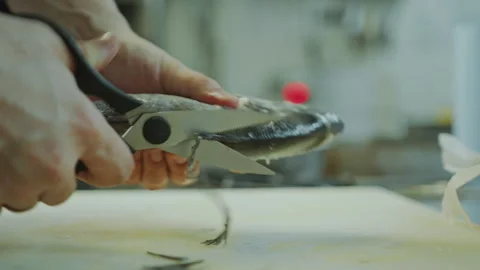Hands of Chef Cutting Fish Fins with Scissors in the Kitchen Stock Footage 270149211