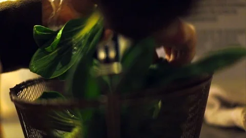 Hands of a chef sorting bok choy leaves. Stock Footage 88405328