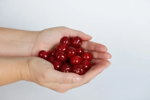 The hands with cherry on white background Stock Photos