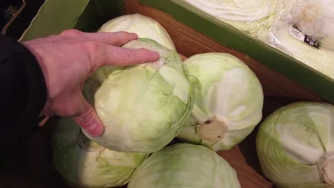 Hands that choose cabbage in the vegetable store or at the market. Stock Footage 133798259