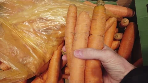 Hands that choose carrot in the vegetable store or at the market. Stock Footage 133793128