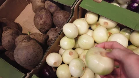 Hands that choose onion in the vegetable store or at the market. Stock Footage 133798611