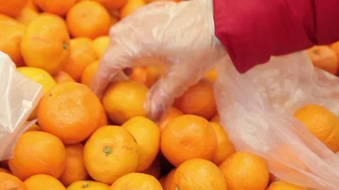 Hands choose tangerines Stock Footage 85363192