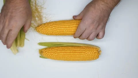 Hands clean corn on a white background. ... | Stock Video | Pond5