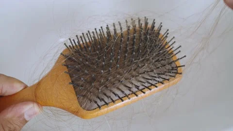 Hands clean drop down hair on a comb after combing. Stock Footage 237453912
