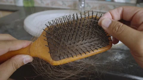 Hands clean drop down hair on a comb after combing. Stock Footage 237453928
