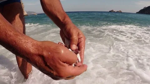 Hands clean small fish in the waves of the southern sea close-up Stock Footage 81740390