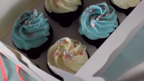 Hands close a box of cupcakes. HD Stock Footage 76773229