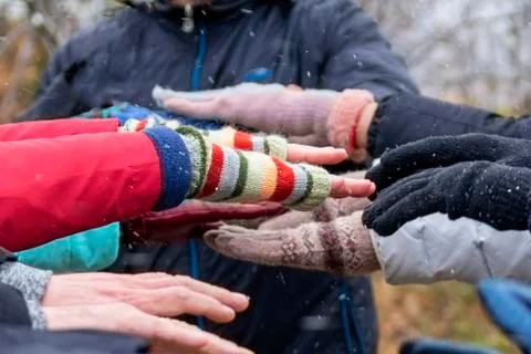 Hands close-up. Team play, training, men and women stretch their hands to eac Stock Photos