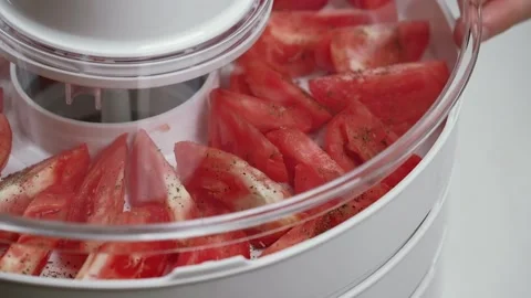 Hands to close transparent lid of an electric vegetable dryer with tomatoes. Stock Footage 254270597