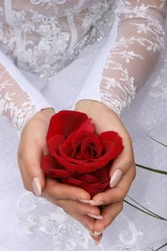 Hands closeup Stock Photos