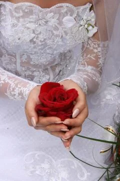 Hands closeup Stock Photos