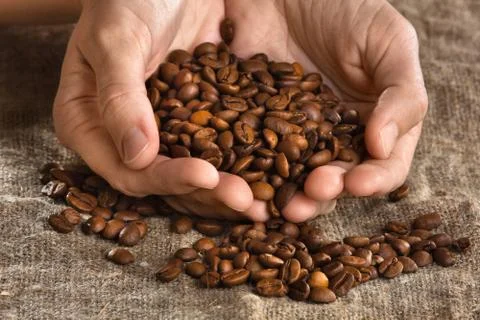 Hands with coffee beans Stock Photos