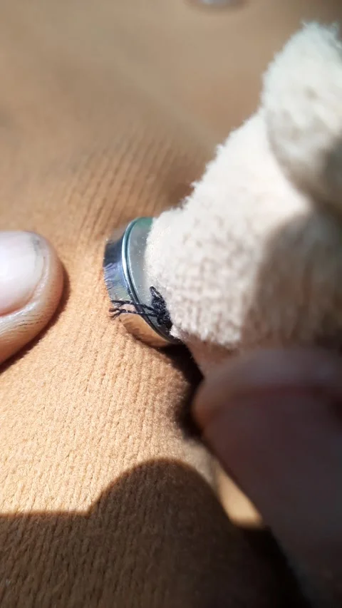 Hands connecting magnetic snap button, metallic fastener on brown fabric, c.. Stock Footage 342627160