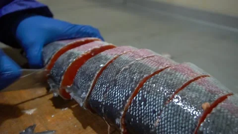 The hands of the cook cut the fish Stock Footage 148464185