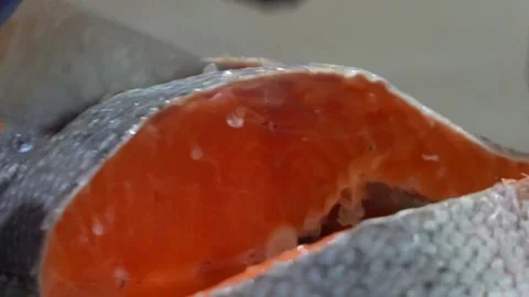 The hands of the cook cut the fish Stock Footage 148464595