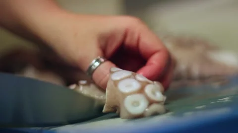Hands cook cutting octopus with knife Stock Footage 47211280