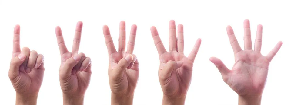 Hands count one to five Stock Photos