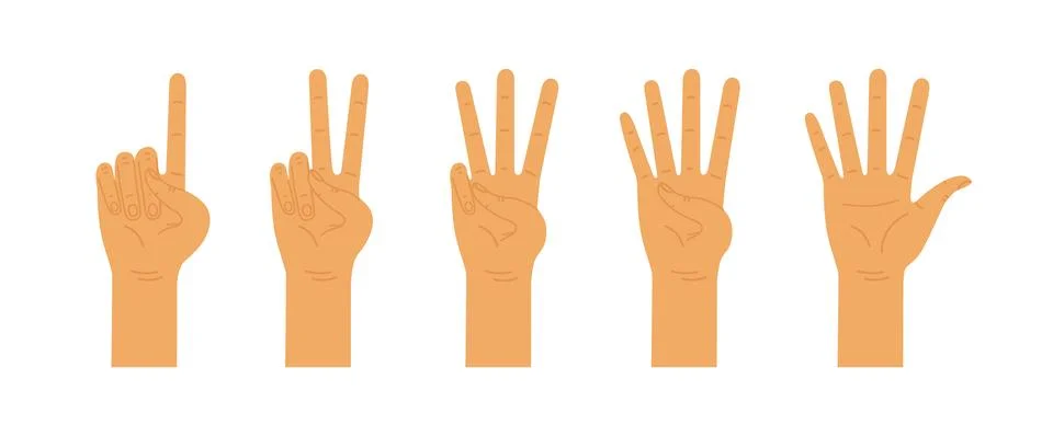 Hands counting from one to five. Counting hands, hand gestures. Vector flat i Stock Illustration