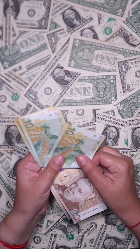 Hands counting Peruvian soles against a background of US dollars Stock Footage 318098296