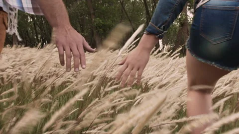 Hands of couple gently touching grass with hands while walking. Video stock 199631876