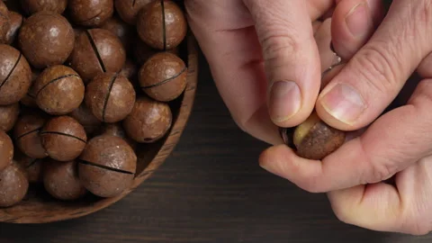 Hands cracking macadamia nuts with a metal key for opening the shell Stock Footage 295864683