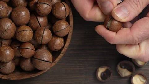 Hands cracking macadamia nuts with a metal key for opening the shell 動画素材 296182519