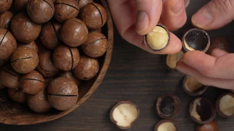 Hands cracking macadamia nuts with a metal key for opening the shell 動画素材 296894579