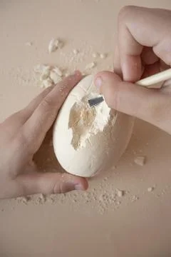 Hands cracking a plaster dinosaur egg with care and precision Stock Photos