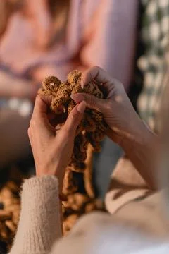 Hands Crafting Dough in a Cozy Setting Close up of female hands holding a r.. Stock Photos