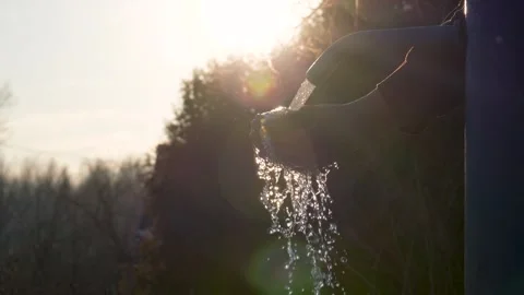 Hands cupping fresh water under sunlight Stock Footage 308565891