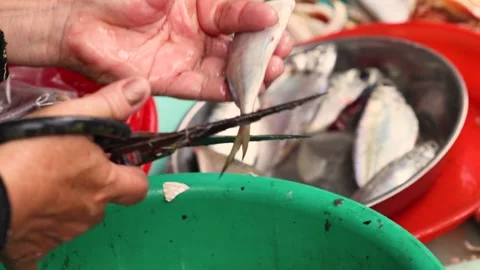Hands cut fish on local market Stock Footage 290298847