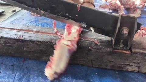Hands cut meat with a heavy meat cutter Stock Footage 340130211