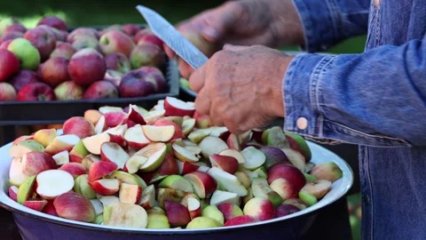 Hands Cutting Apple Slices Into Bowl of Chopped Fruit Stock Footage 346247368