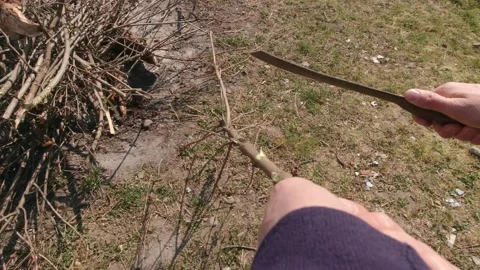 Hands Cutting Branches Slow Motion Stock Footage 194475079
