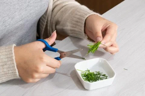 Hands cutting ciboulette with scissors Stock Photos