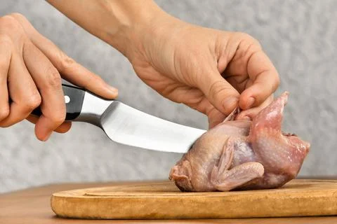 Hands cutting quail before cooking Stock Photos