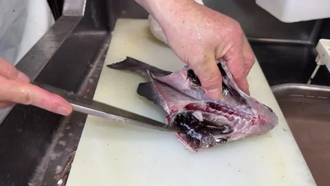 Hands Cutting a Whole Black Fish into Three Pieces (Mejina, Gure), Japan Stock Footage 343174483
