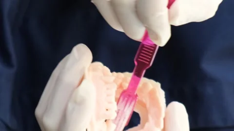 The hands of a dentist showing how to properly brush teeth on a mannequin of the Stock Footage 250128502