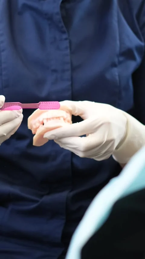 The hands of a dentist showing how to properly brush teeth on a mannequin of the Stock Footage 250383733